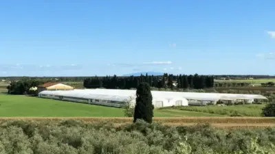 serre mobili stagionali
