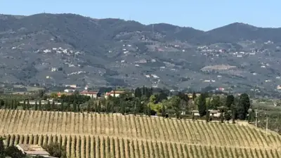 vigneto paesaggio collinare toscana