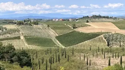 vigneti campagna toscana zona vincolata
