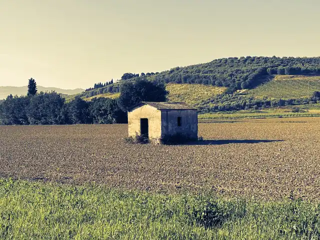 Condono edilizio in area naturale protetta, parchi e riserve