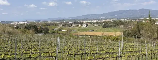 zona paesaggistica