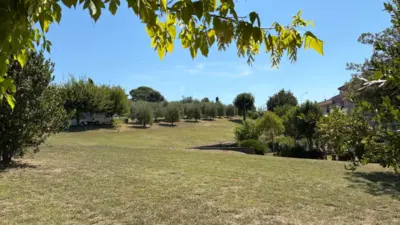zona vincolo paesaggistico