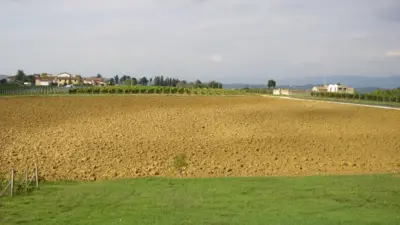 Zona agricola coltivata