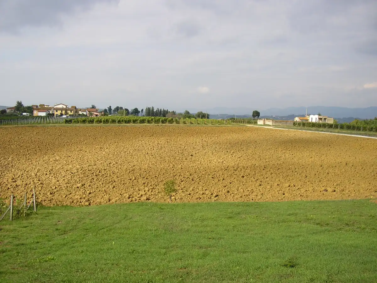 Esenzione contributo concessorio per costruzione rurale, indispensabile qualifica soggettiva di imprenditore agricolo (CdS 7519/2026)