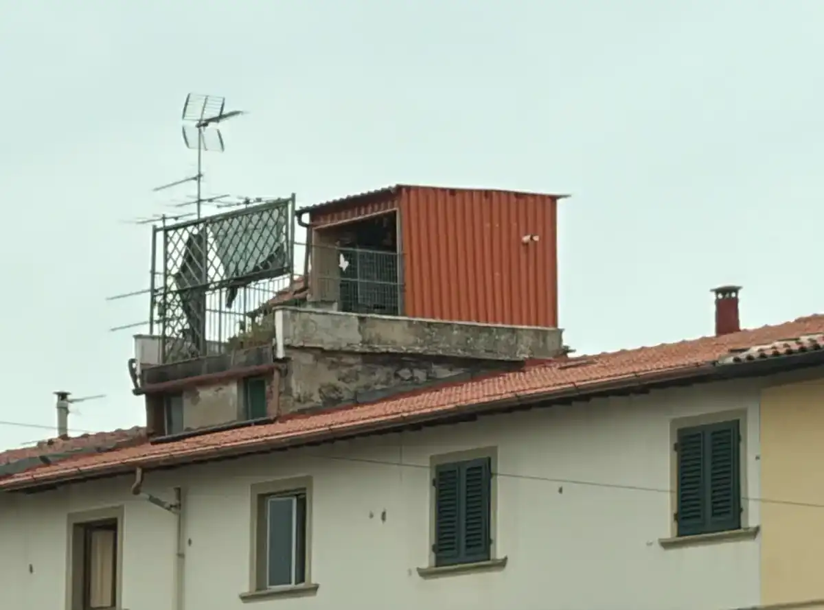 Condono 2003 in zona vincolata: nuove superfici insanabili a prescindere dal parere favorevole della Soprintendenza (CdS 7685/2026)